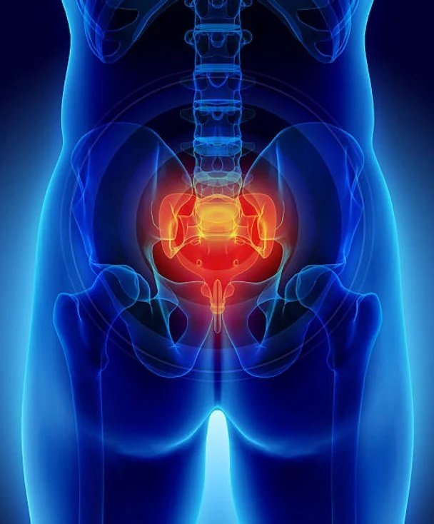 تمرين عضلات الحوض