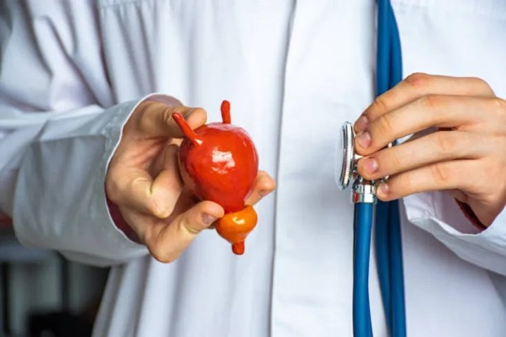 أفضل طبيب مسالك بولية