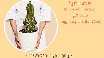 دعامة القضيب أو دعامة الذكر