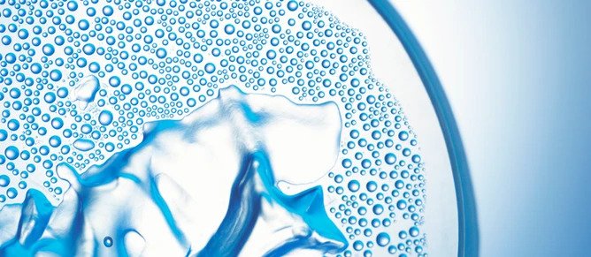 Closeup of a Petri Dish