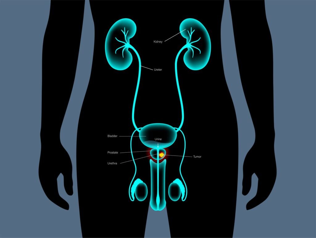 عيادة الدكتور يمان التل