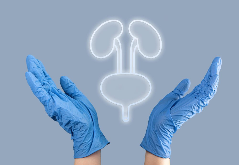 طب المسالك البولية