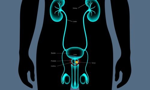 عيادة الدكتور يمان التل