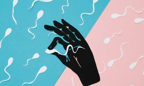 المسح المجهري للخصية