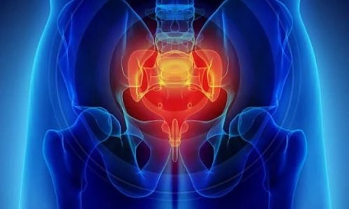 تمرين عضلات الحوض