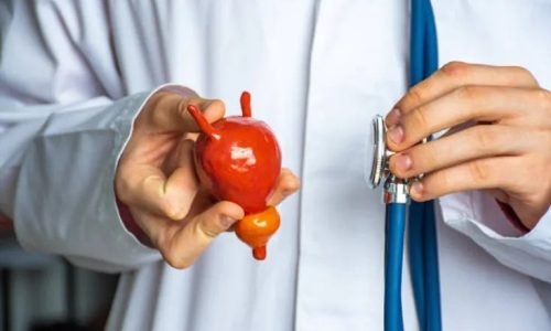 أفضل طبيب مسالك بولية