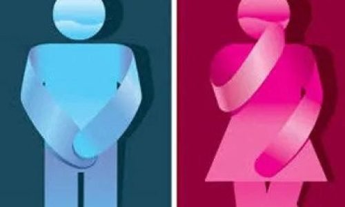 دكتور مسالك بولية