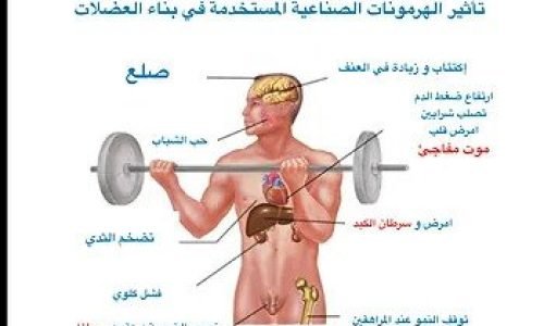 هرمون بناء العضلات