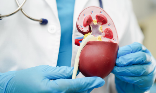 كشف دكتور المسالك البولية