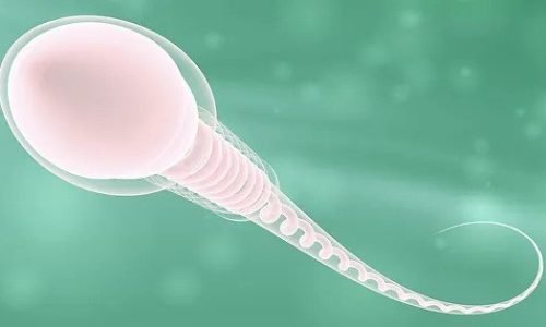 زيادة السائل المنوي